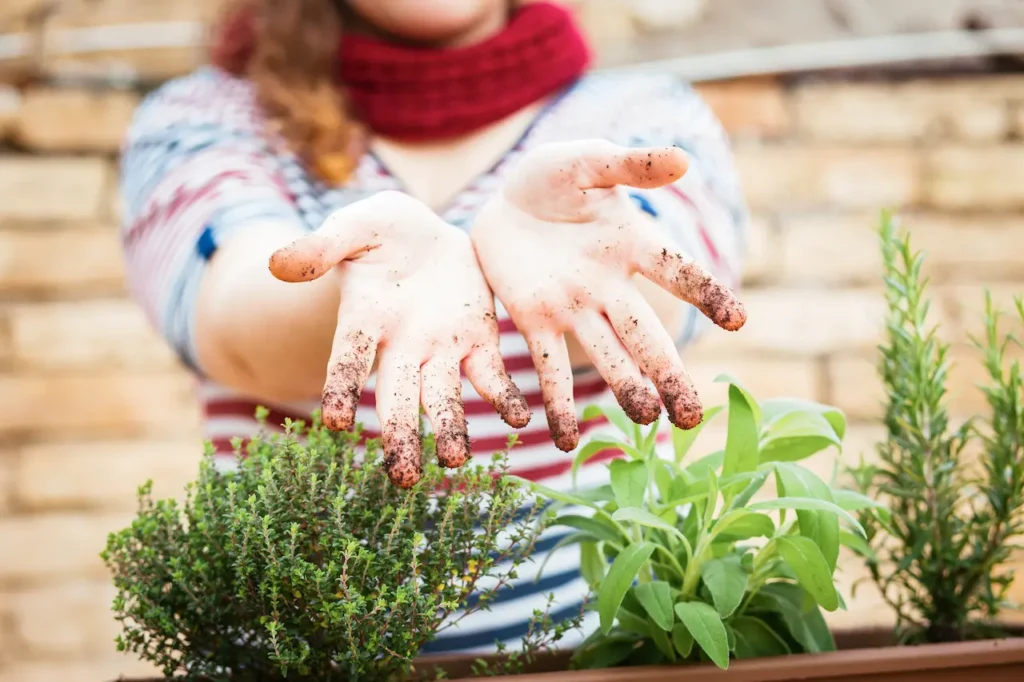 Dirty Hands After Gardening